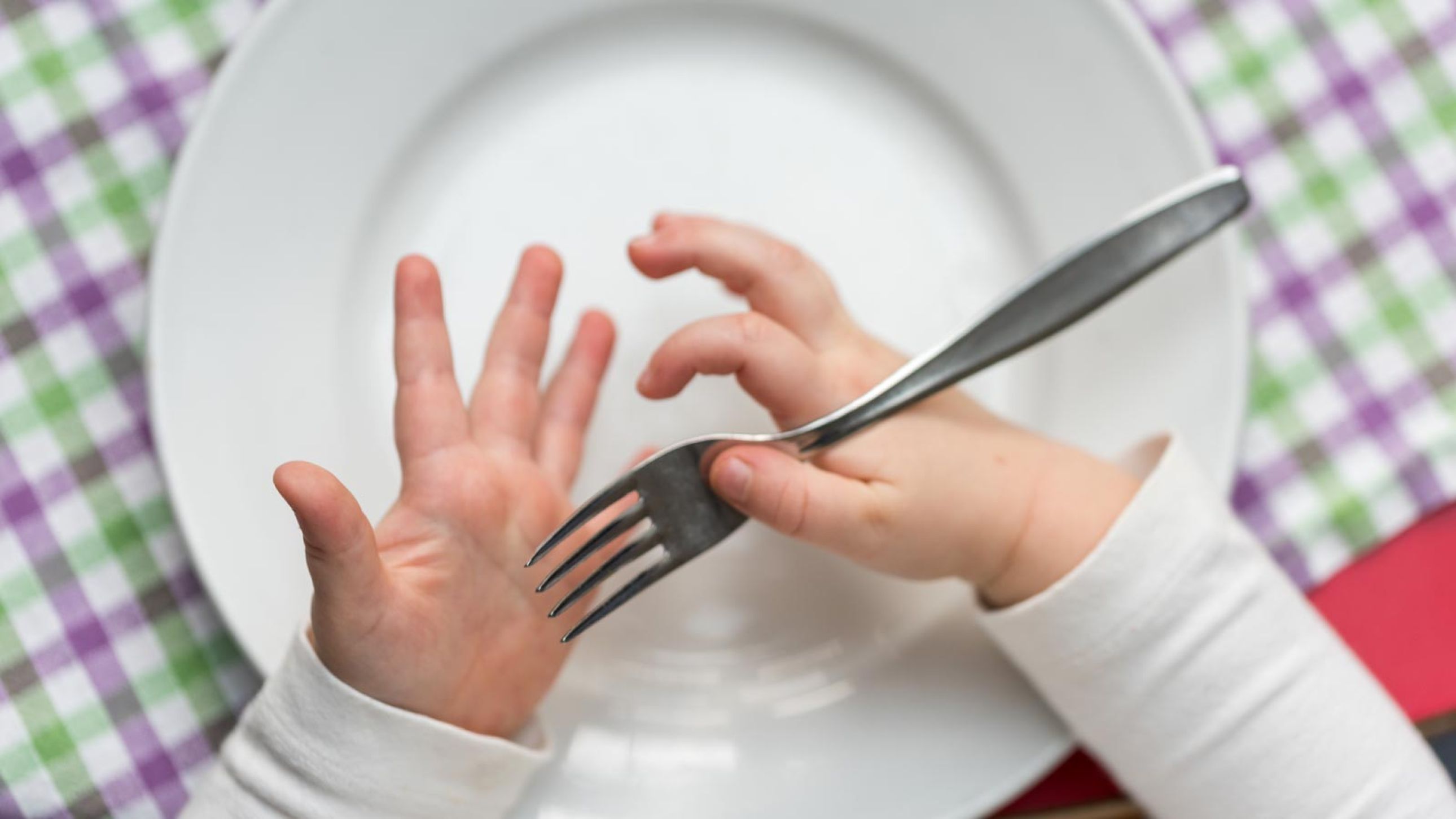 Qualità & Servizi | Nutrizione e gusto si incontrano nel nostro esclusivo menù scolastico